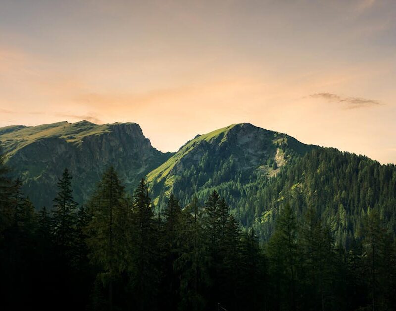 Mountain Landscapes - Breathtaking view of mountains and forest at sun #5532420