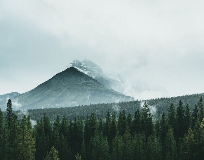 Mountain Landscapes - Scenic view of a misty mountain surrounded by a #9651398