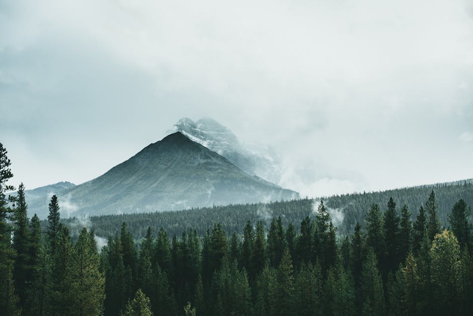 Mountain Landscapes - Scenic view of a misty mountain surrounded by a #9651398